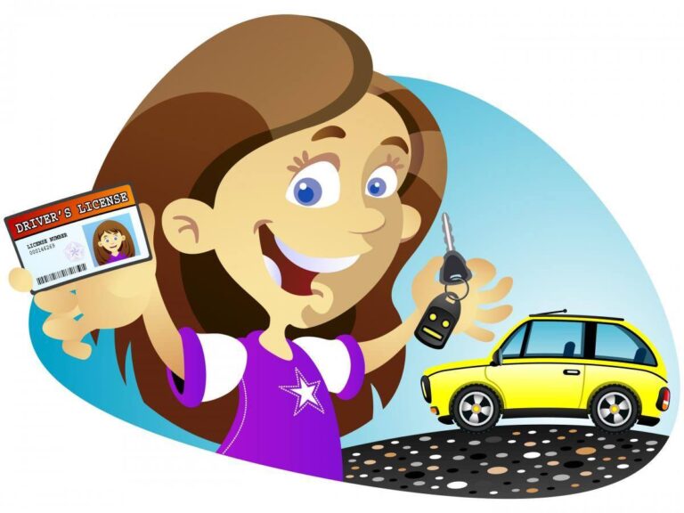 rijbewijs te koop